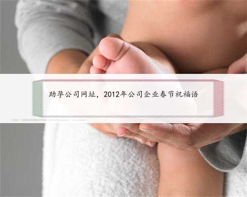 <b>助孕公司网址，2012年公司企业春节祝福语</b>