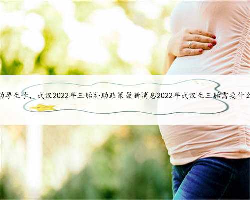 武汉助孕生子，武汉2022年三胎补助政策最新消息2022年武汉生三胎需要什么条件